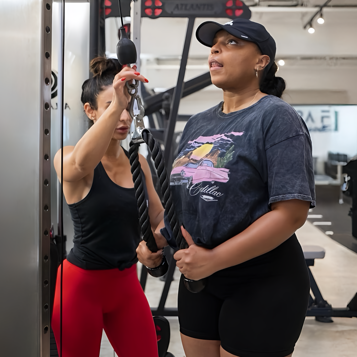 Asesoria personalizada 1:1